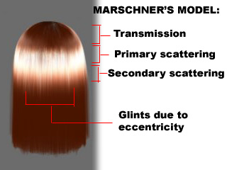 ephere-marschner